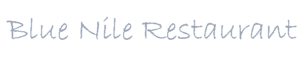 Blue Nile Logo